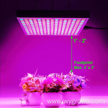 45W Panel Grow light full spectrum